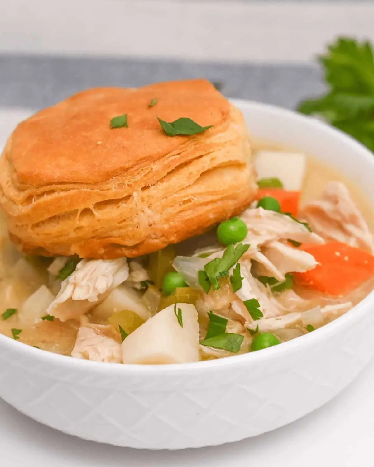 Crock Pot Chicken Pot Pie