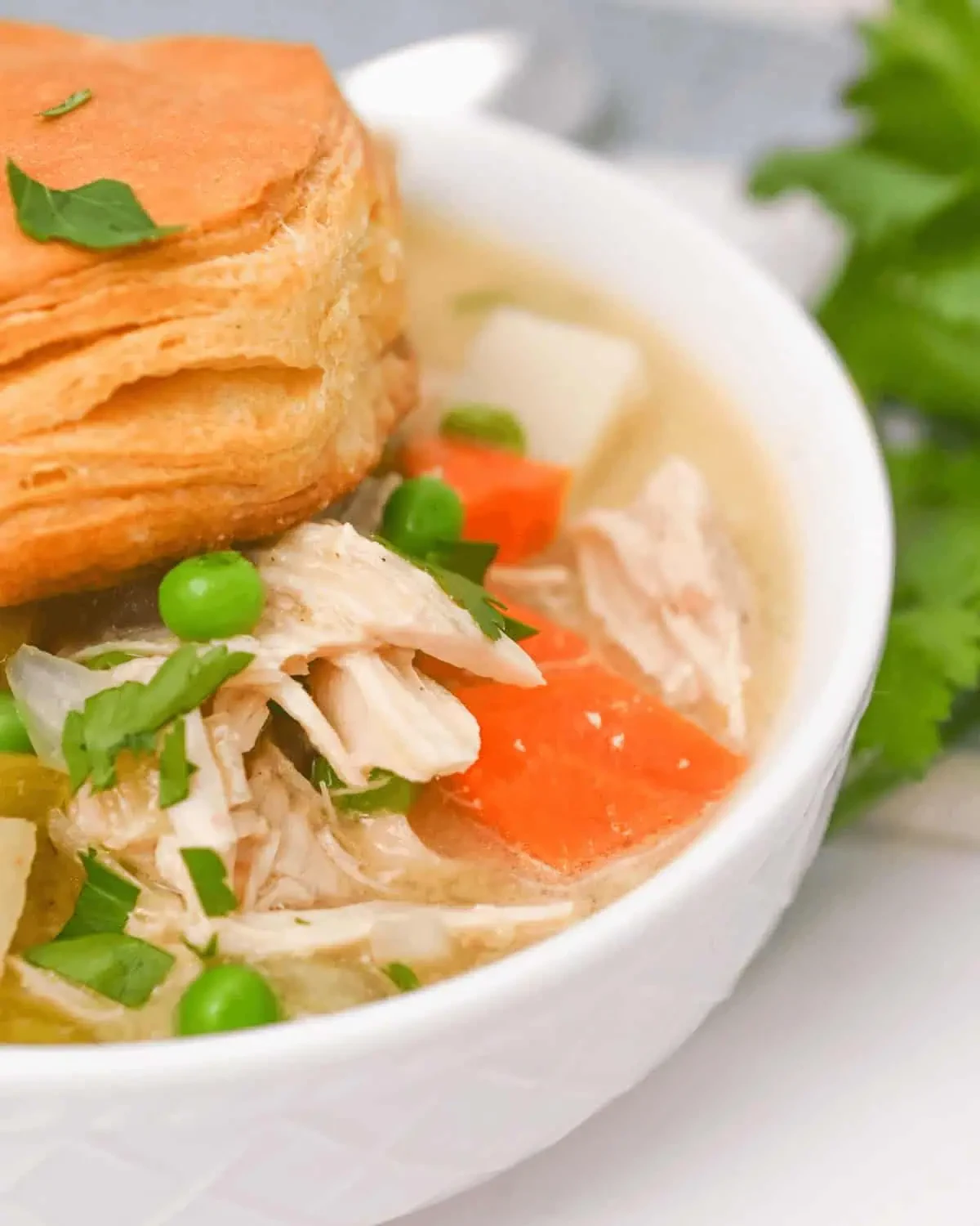 Crock Pot Chicken Pot Pie
