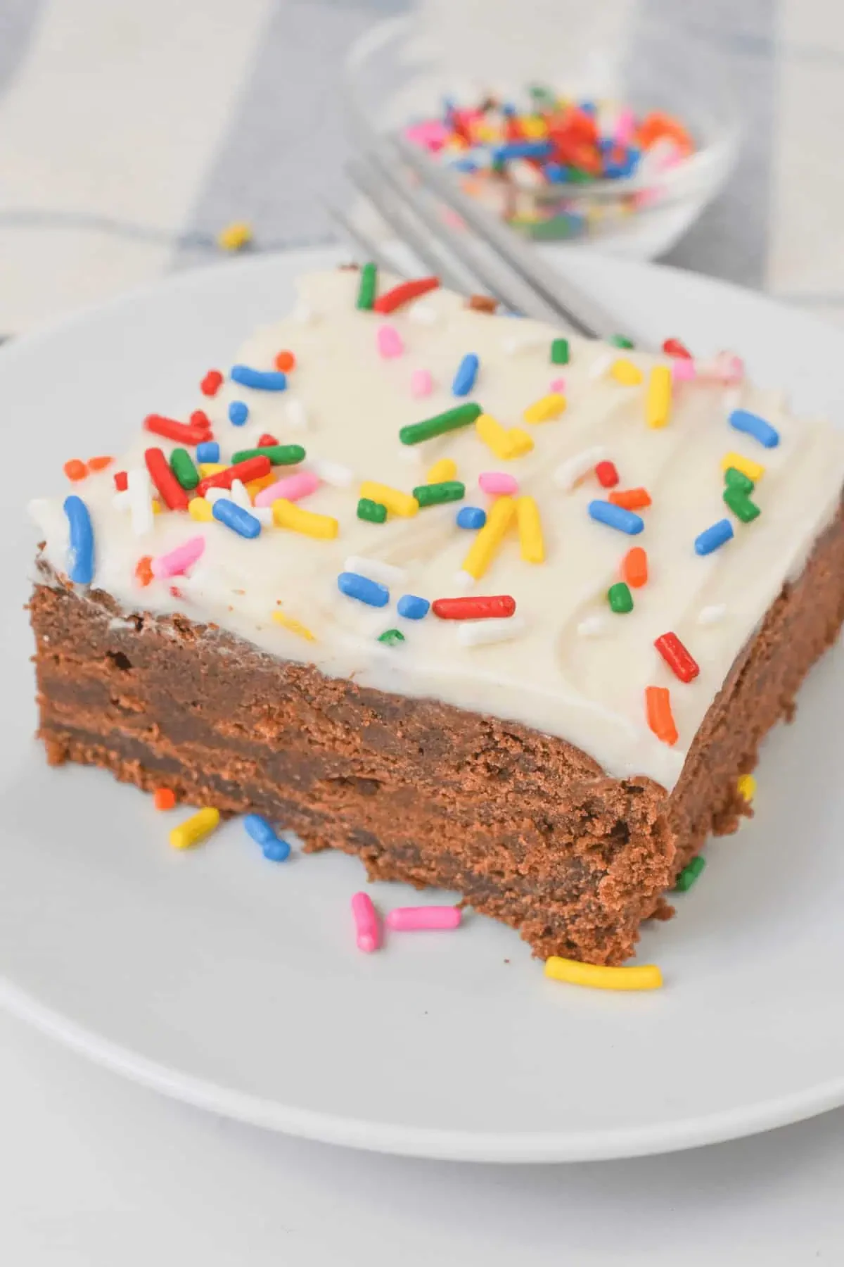 Chocolate Cake with White Icing