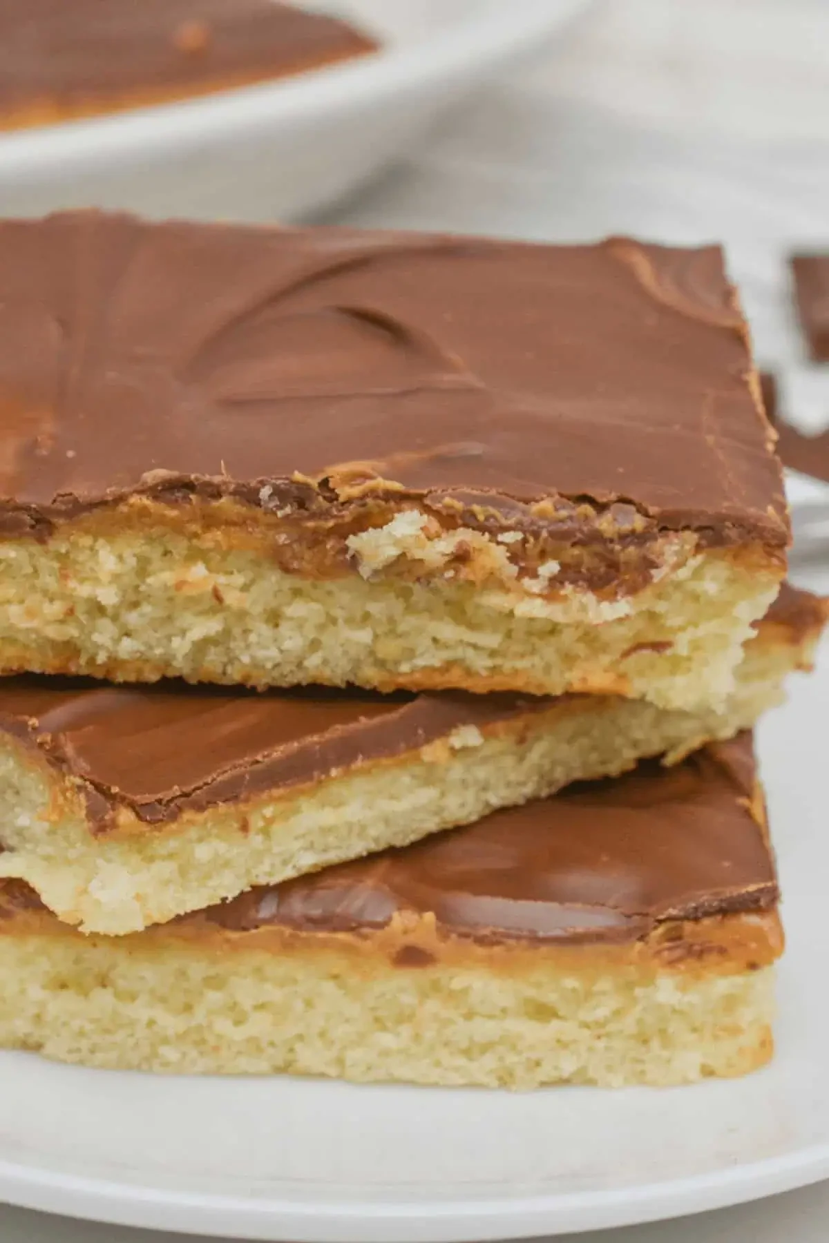 Peanut Butter Tandy Cake (Copycat Tastykake Recipe)