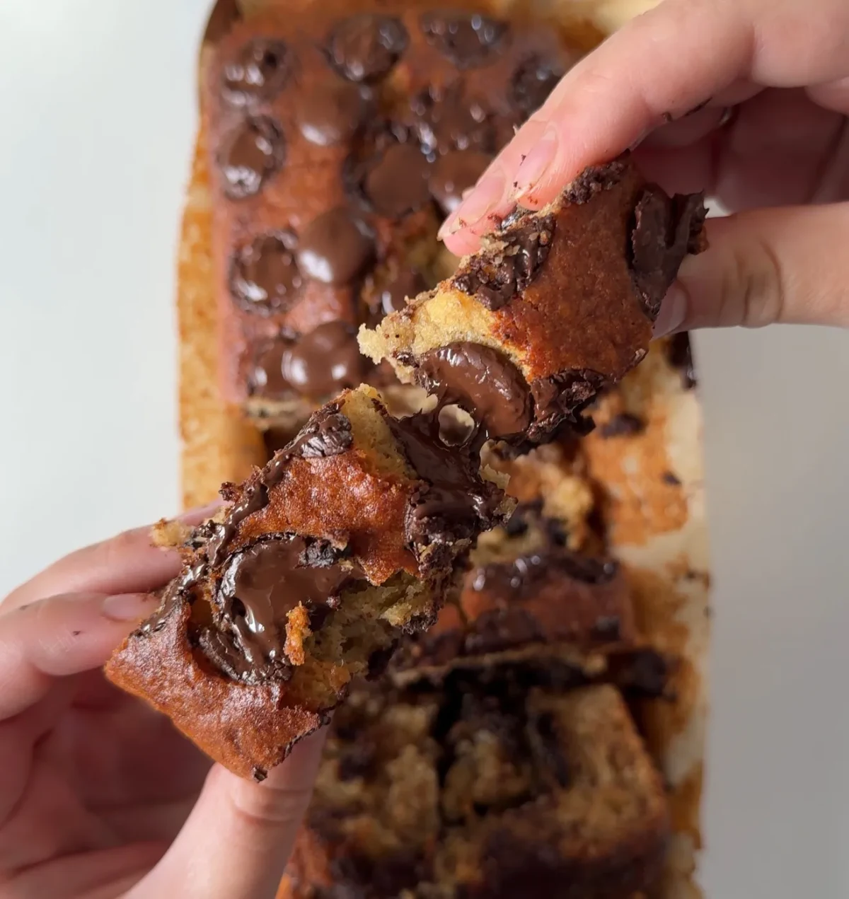 Brown Butter Chocolate Chip Banana Bread