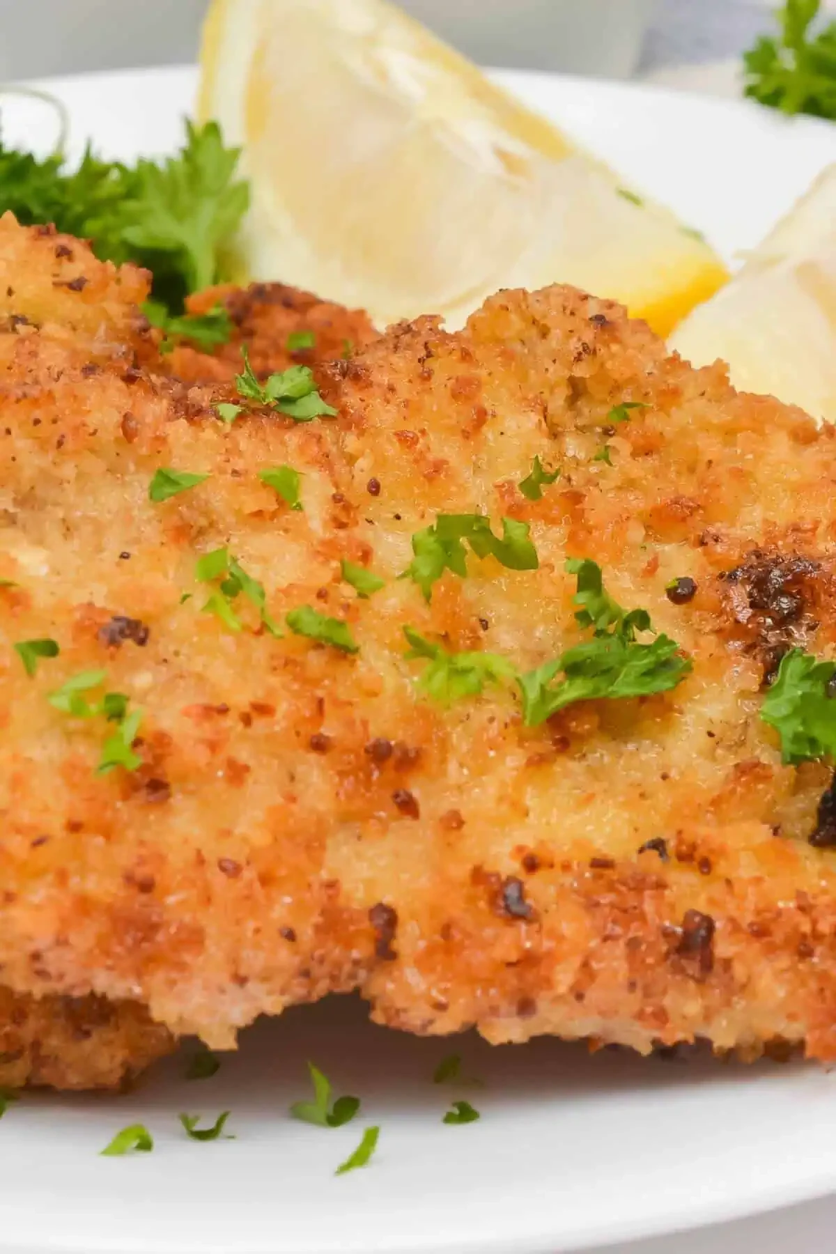 Crispy Breaded Pork Cutlets