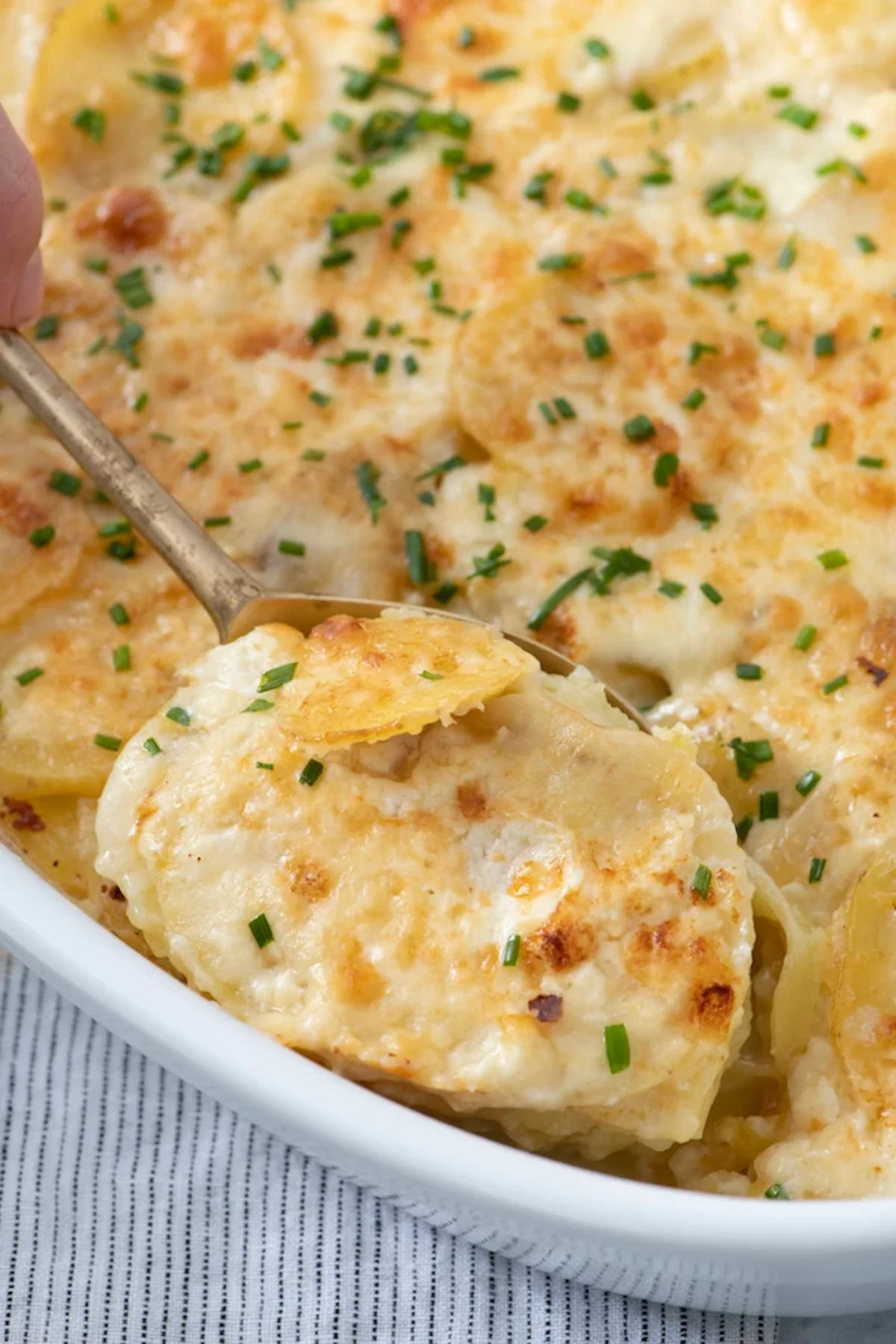 Golden Potato Gratin