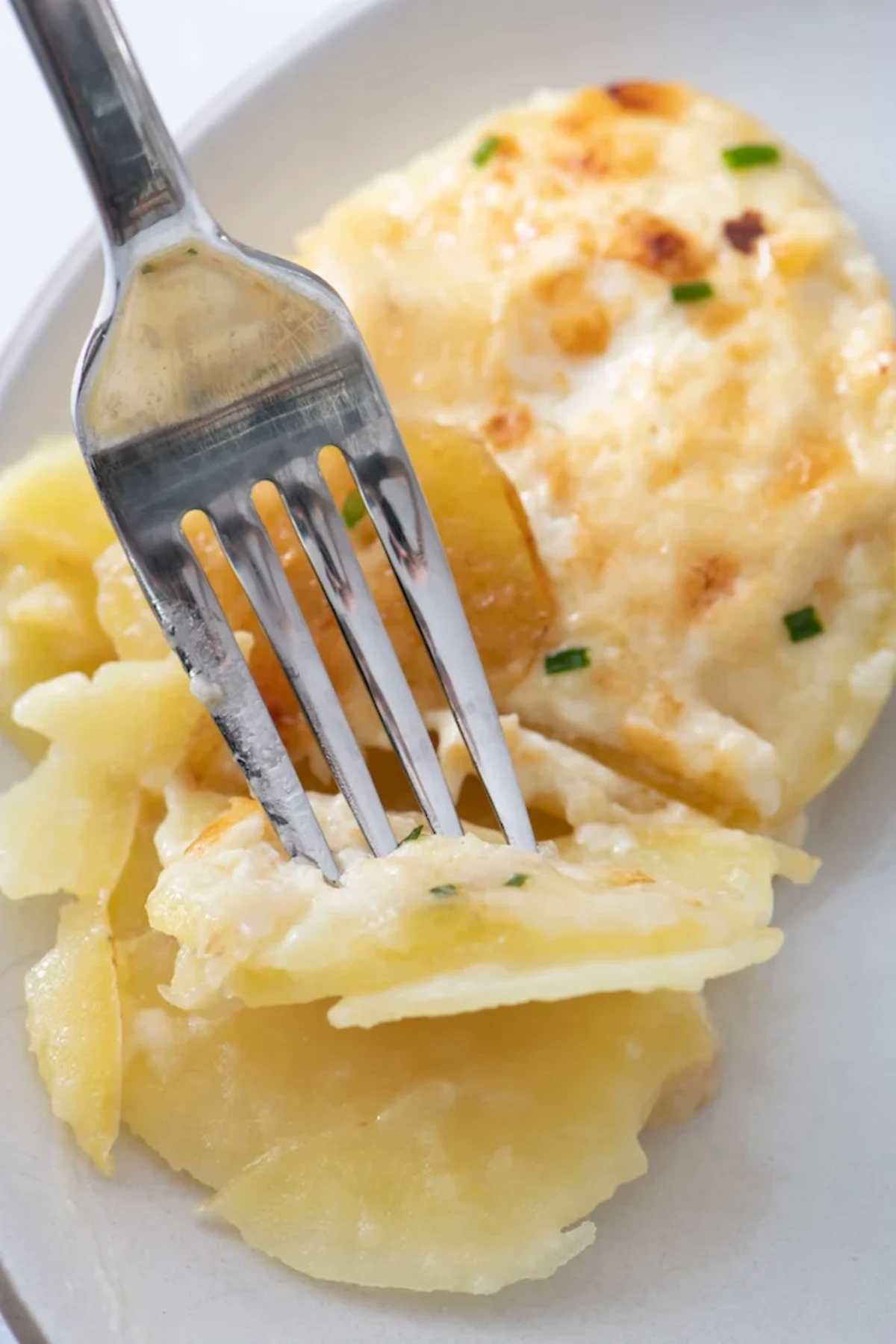 Golden Potato Gratin