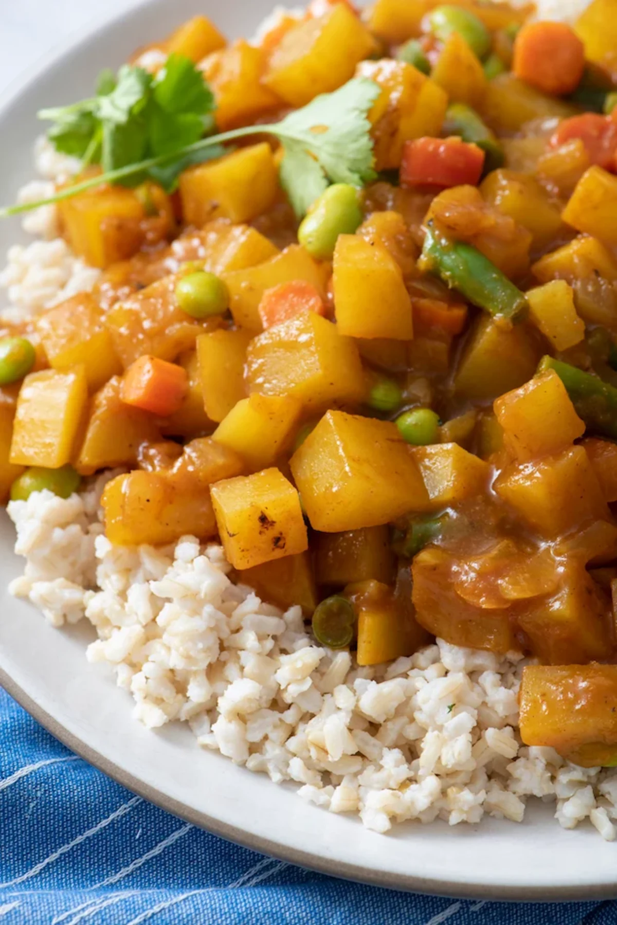 Japanese Vegetable Curry