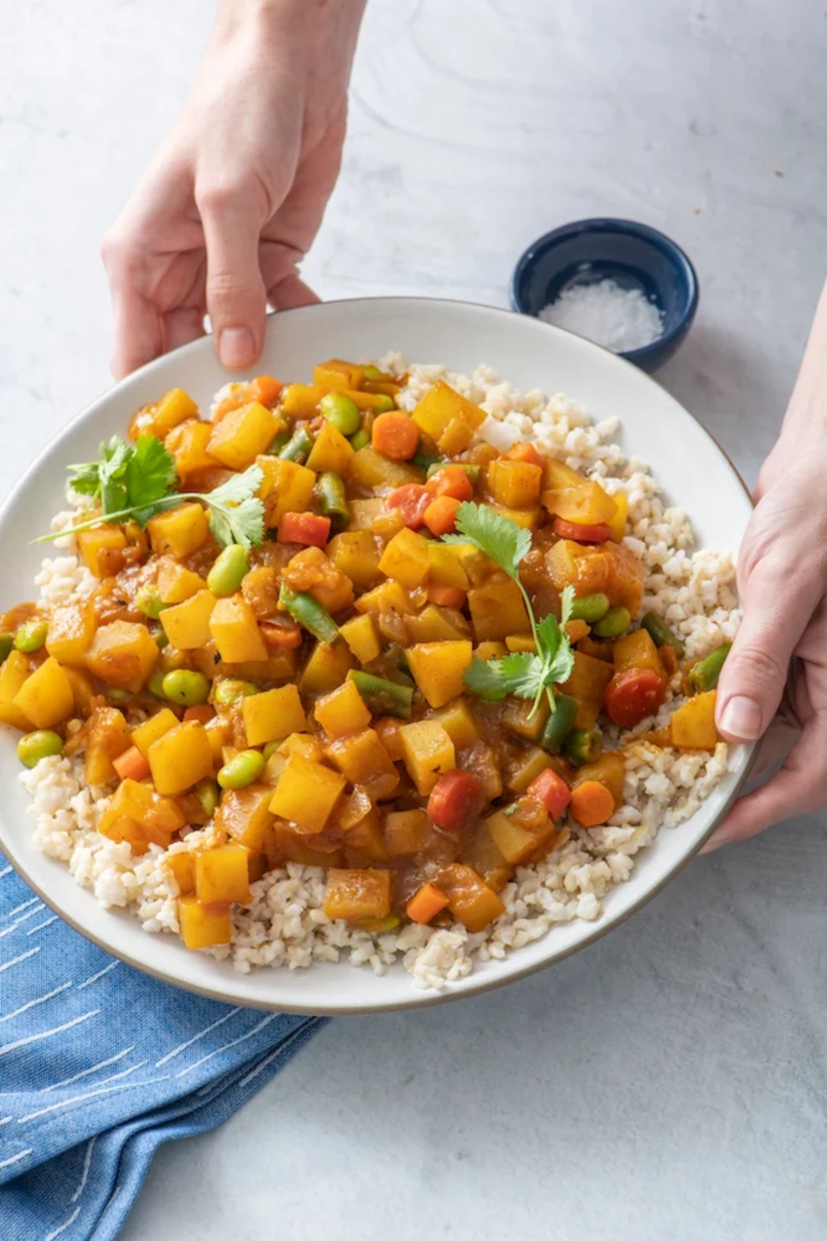 Japanese Vegetable Curry