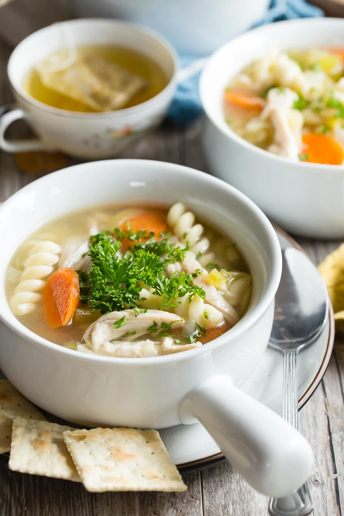Slow Cooker Chicken Noodle Soup