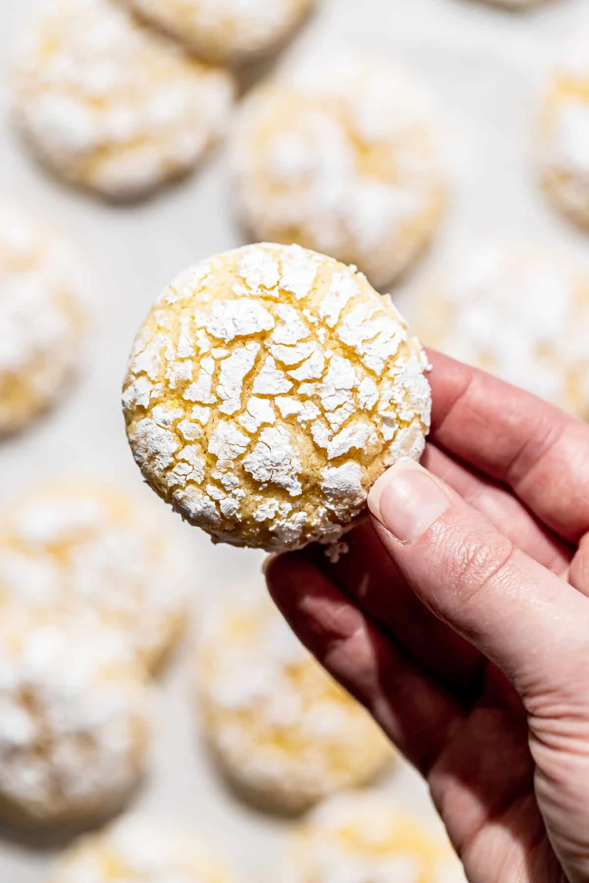 Lemon Crinkle Cookies