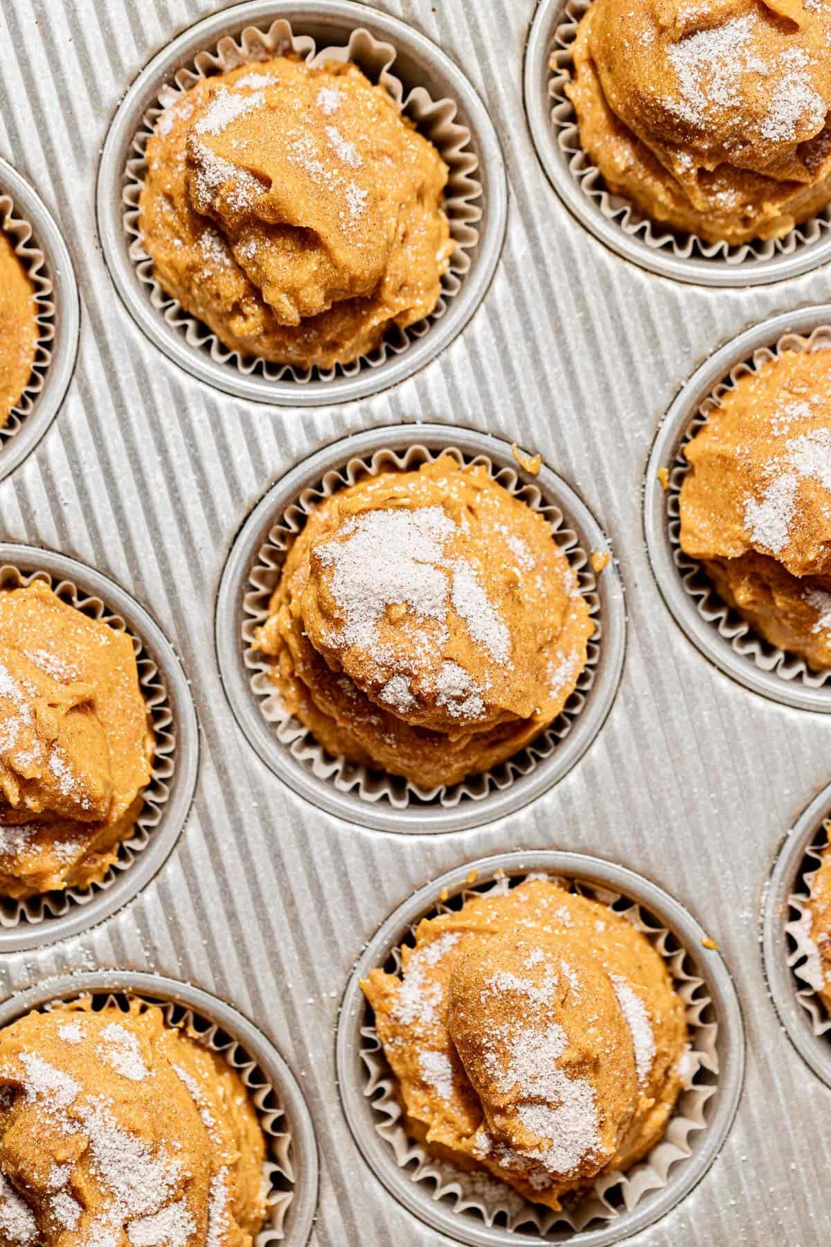 Gluten-Free Pumpkin Oatmeal Muffins