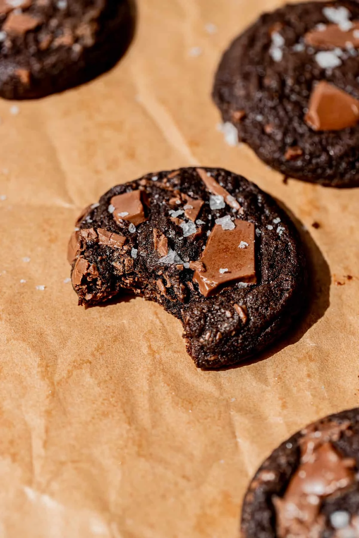 Soft Double Chocolate Chip Cookies