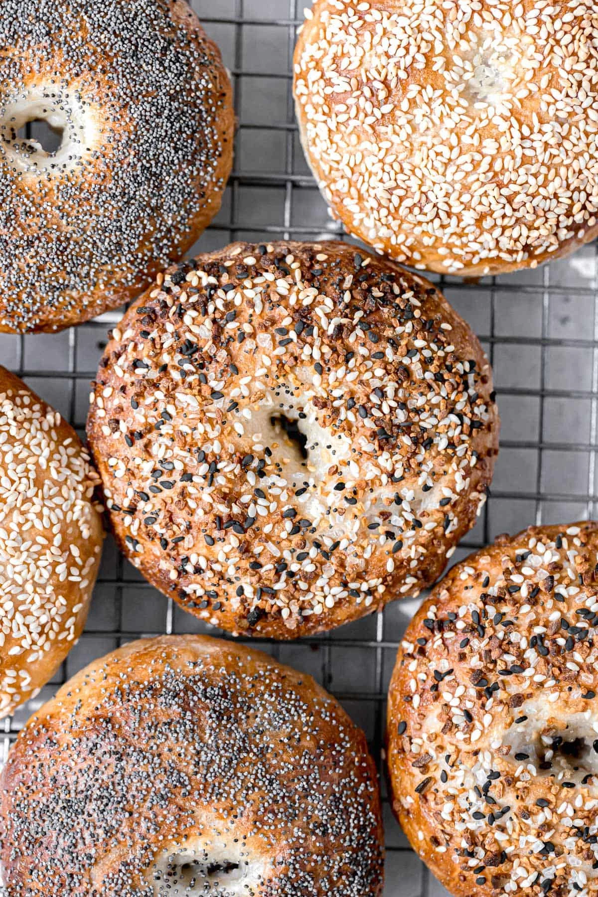 New York Style Bagels