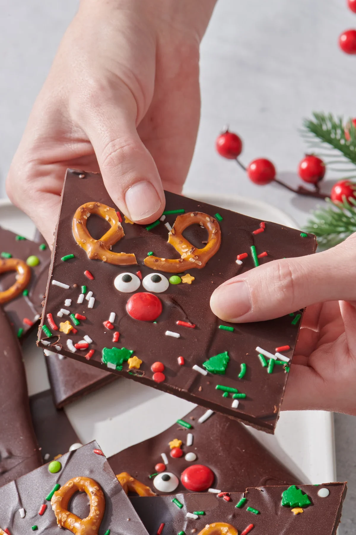 Chocolate Reindeer Bark