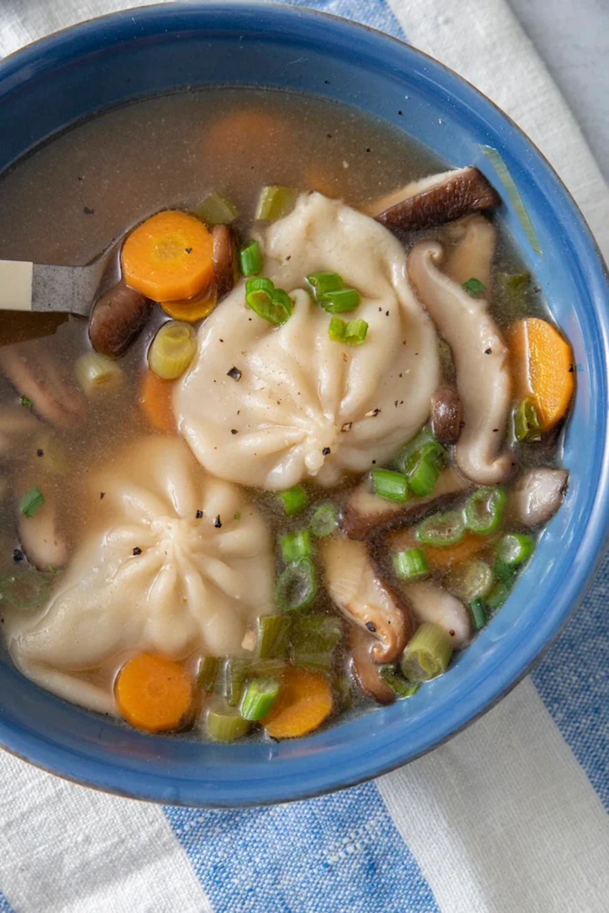 Dumpling Soup