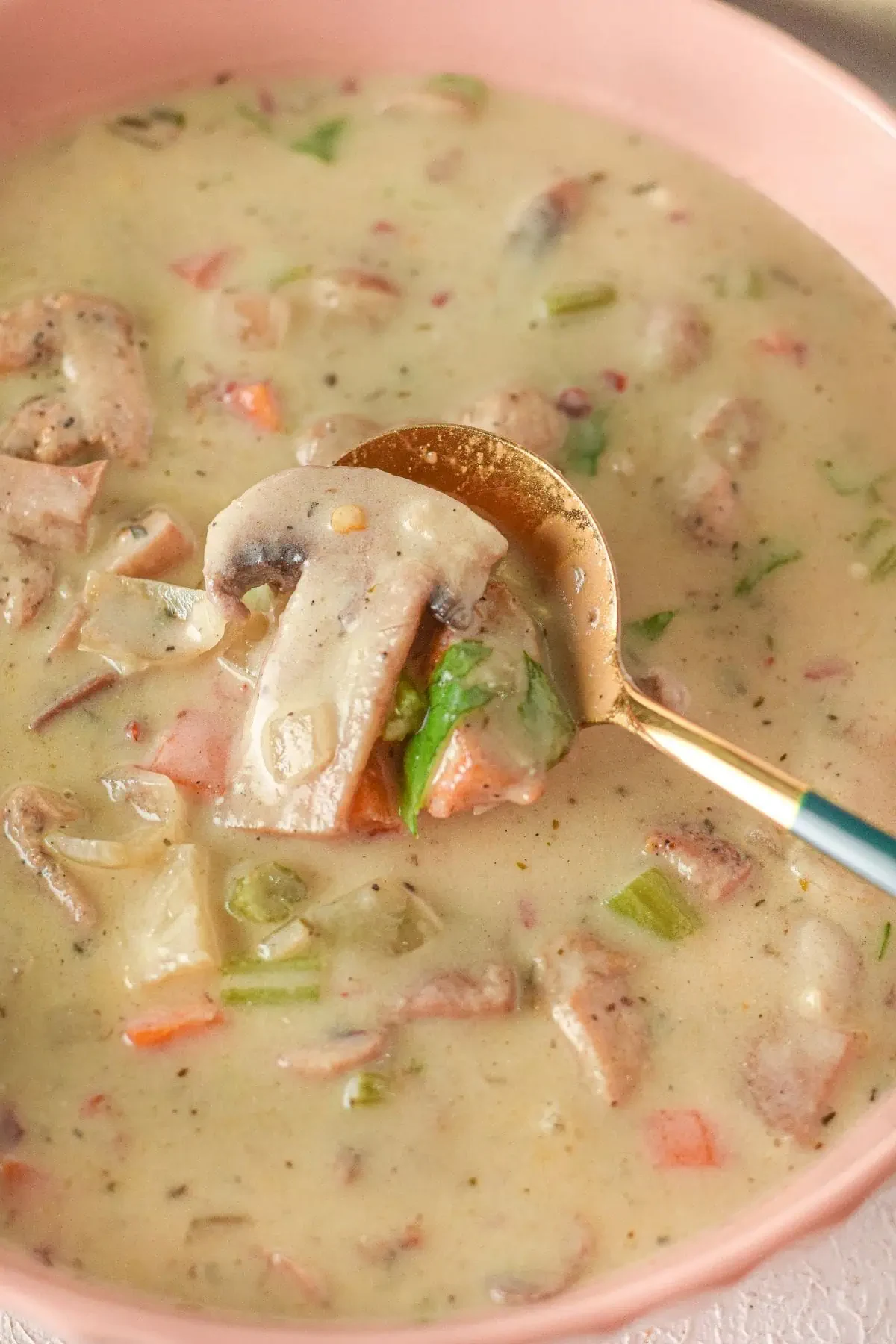 Creamy Chicken Mushroom Soup
