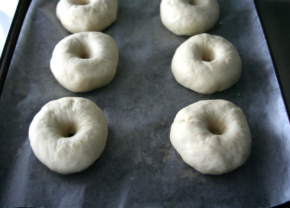 Homemade Bagels