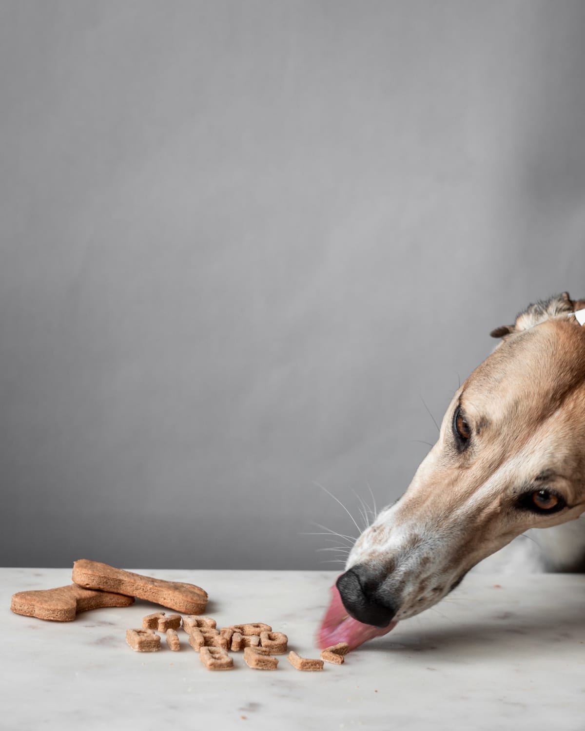Homemade Peanut Butter Dog Cookies