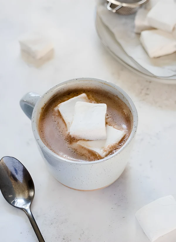 Single Serving Dairy Free Hot Chocolate cover