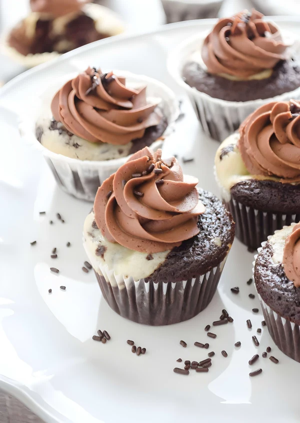 Black Bottom Cupcakes with Salted Chocolate Buttercream cover
