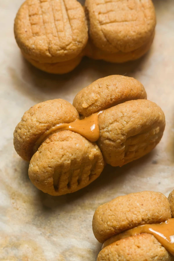 Gluten Free Nutter Butters cover