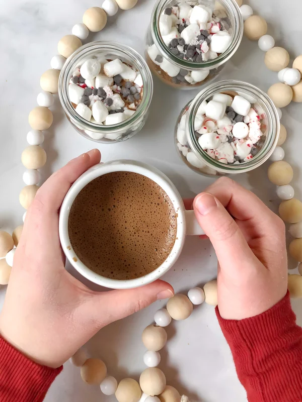 Homemade Dairy Free Hot Cocoa Mix cover