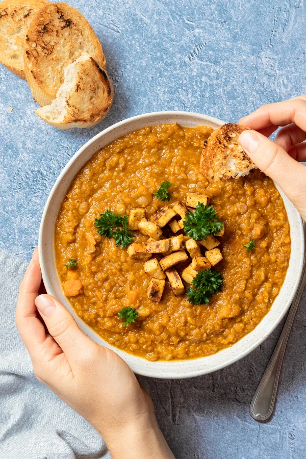 Vegetarian Lentil Stew cover