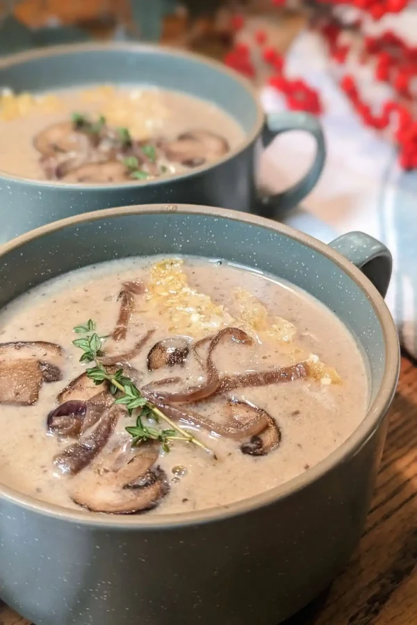 Mushroom & Caramelized Onion Soup cover