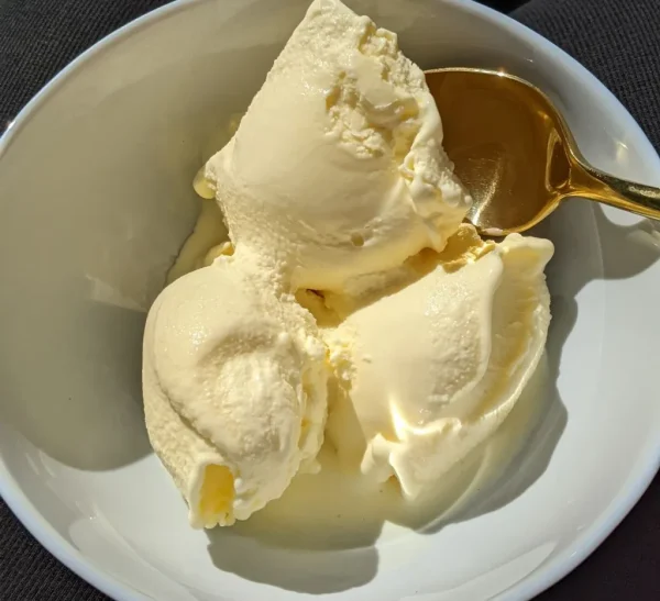 Salted Sweet Cream Frozen Custard cover