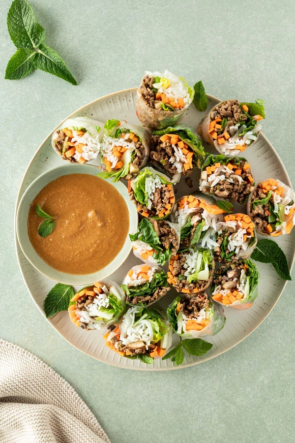 Vietnamese Spring Rolls cover