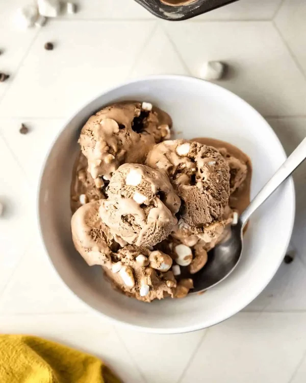 Cocoa Condensed Milk Ice Cream (No Churn) cover
