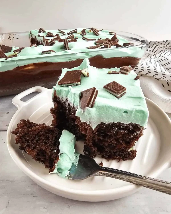 Chocolate Mint Cake cover