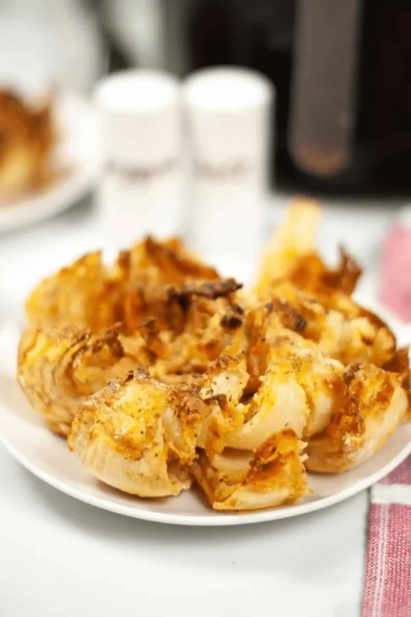 Air Fryer Blooming Onion cover