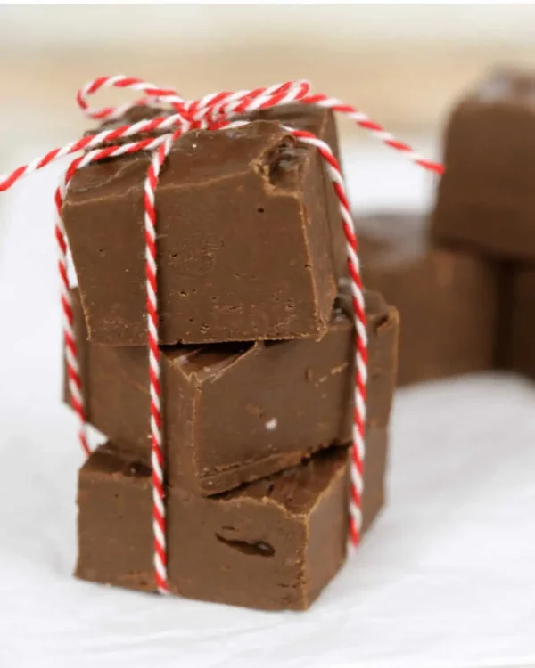 5-Minute Fudge cover