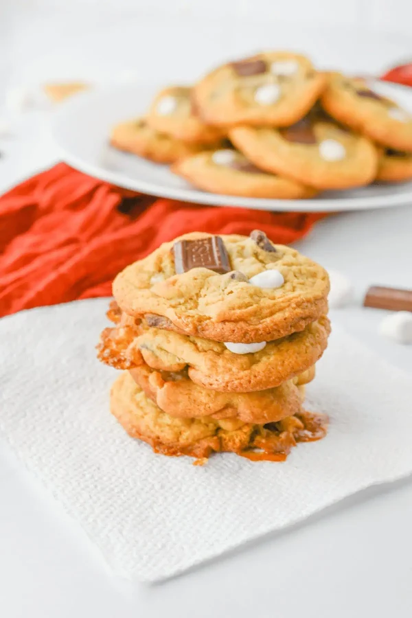 Smores Cookies cover