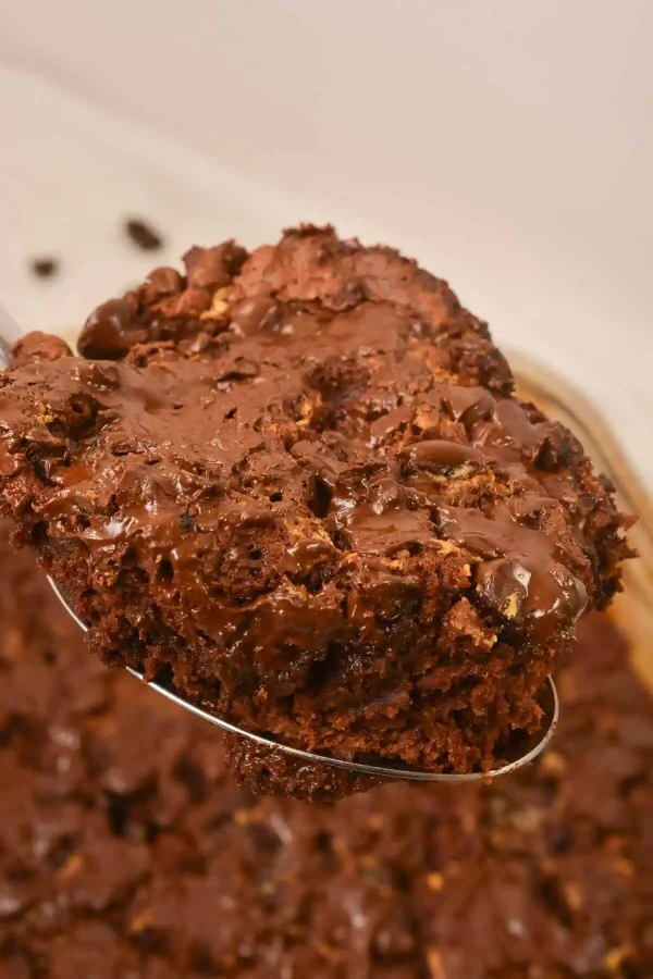 Chocolate Cake Dump Cake cover