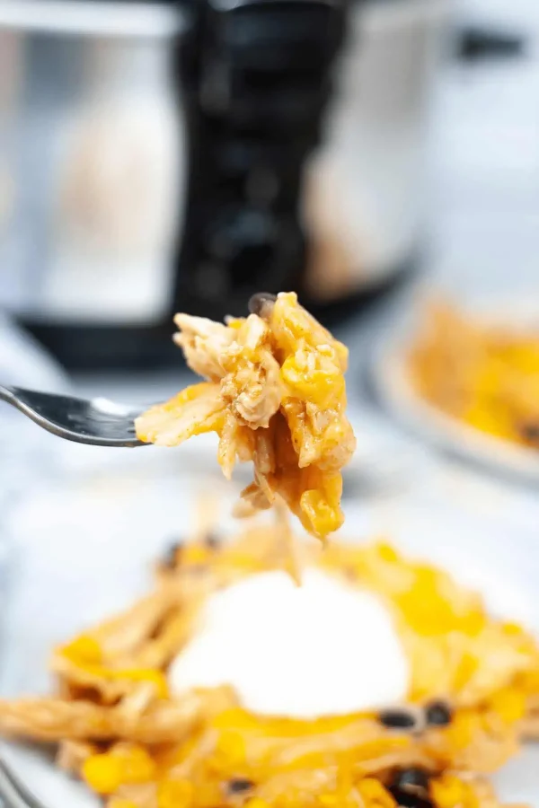 Slow Cooker Mexican Chicken Lasagna cover