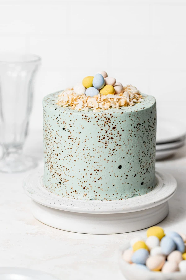 Robin's Egg Easter Cake cover