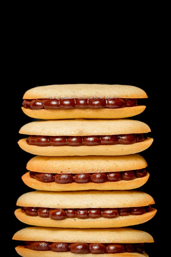 Homemade Mint Chocolate Milano Cookies cover