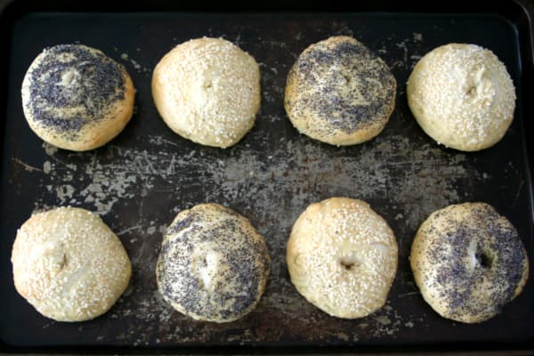 Homemade Bagels cover